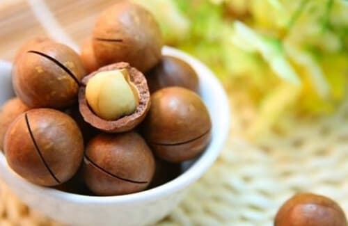   Macadamia Fıstığı