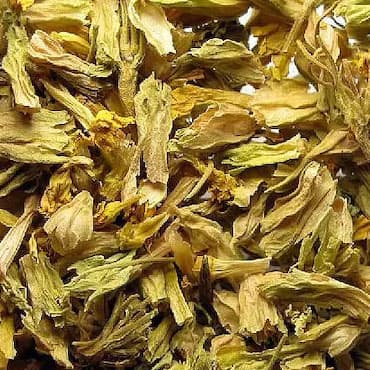 Kuru Çuha Çiçeği