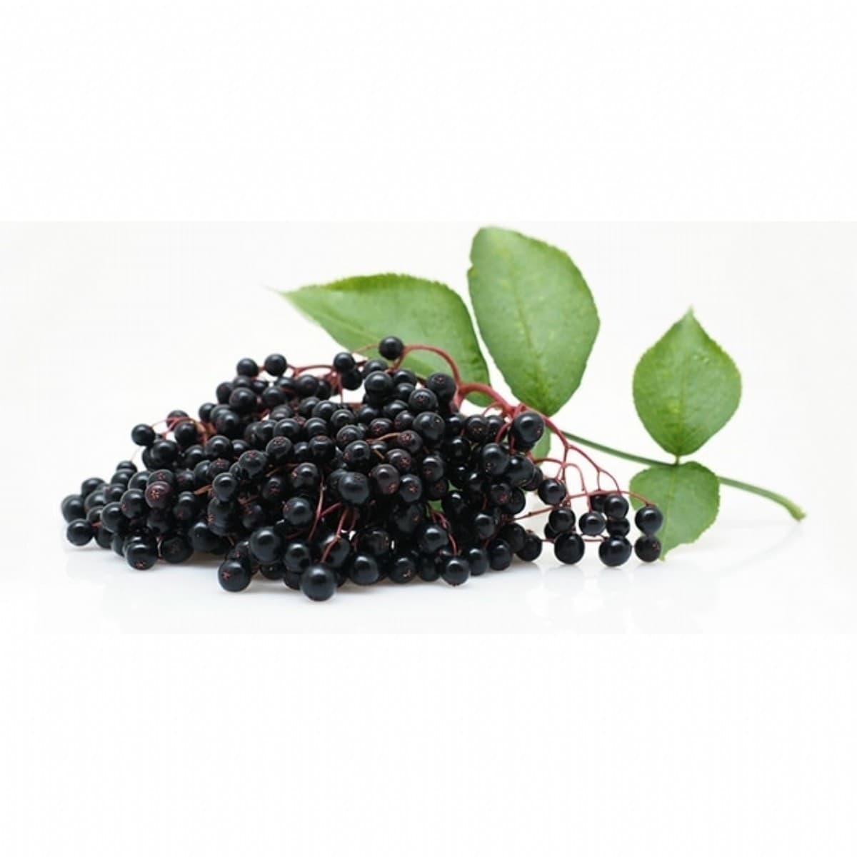 Kuru Mürver Yaprağı Ezmesi