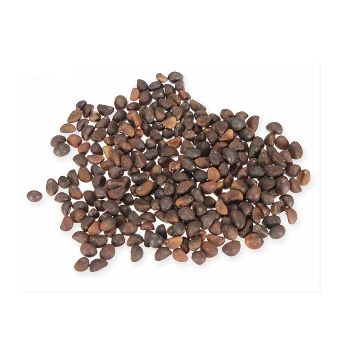 Sürekli Ispanak Tohumu