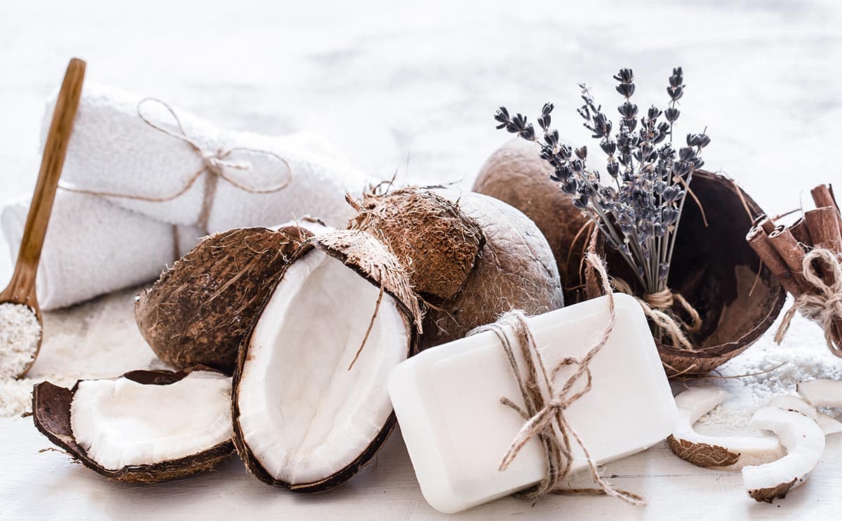 Hindistan Cevizi Ürünleri