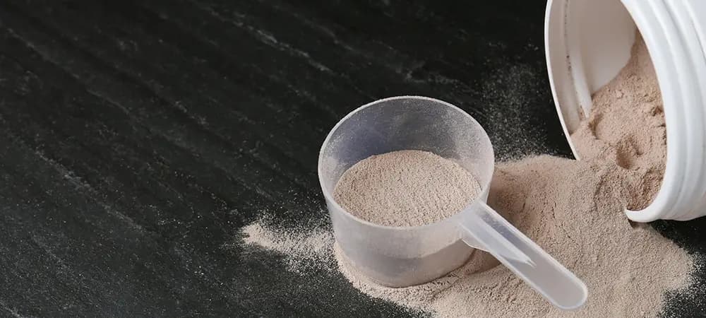 Proteinler ve Tozlar